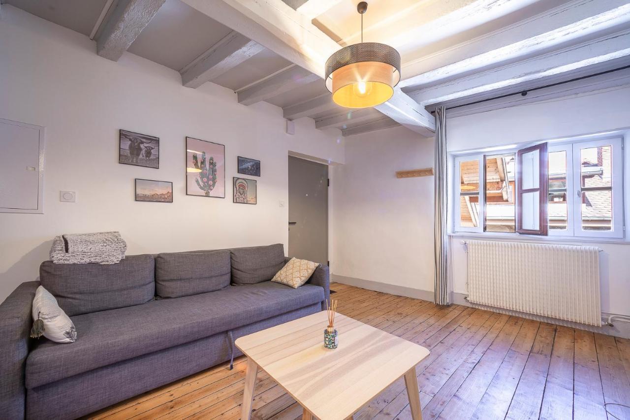 Bel Appartement, 2 Chambres, Annecy Coeur De Ville エクステリア 写真